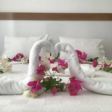 Altunakar 1 فندق