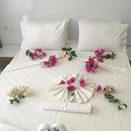 فندق Altunakar 1 4*