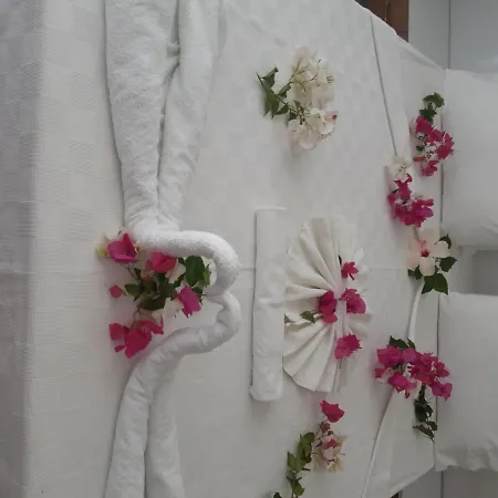 Altunakar 1 4* ديديم