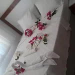 Altunakar 1 4*