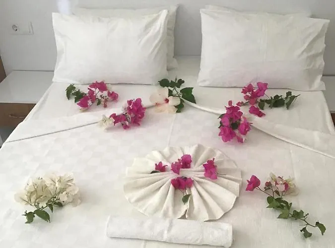 Hotel Altunakar 1 4*